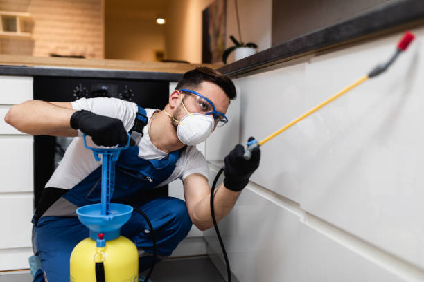 Best Best Pest Control Companies  in Potomac Heights, MD
