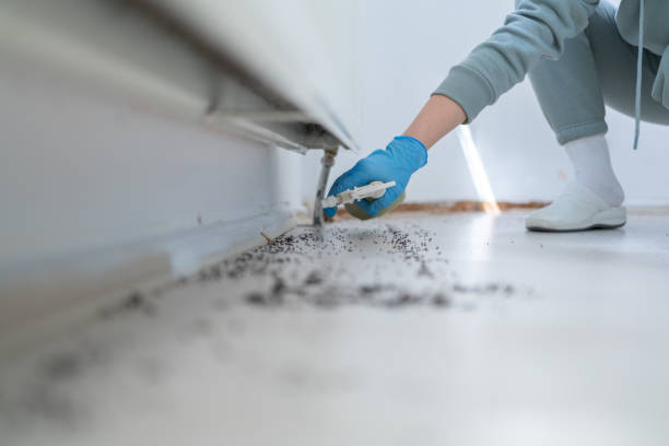 Best Commercial Pest Control Services  in Potomac Heights, MD
